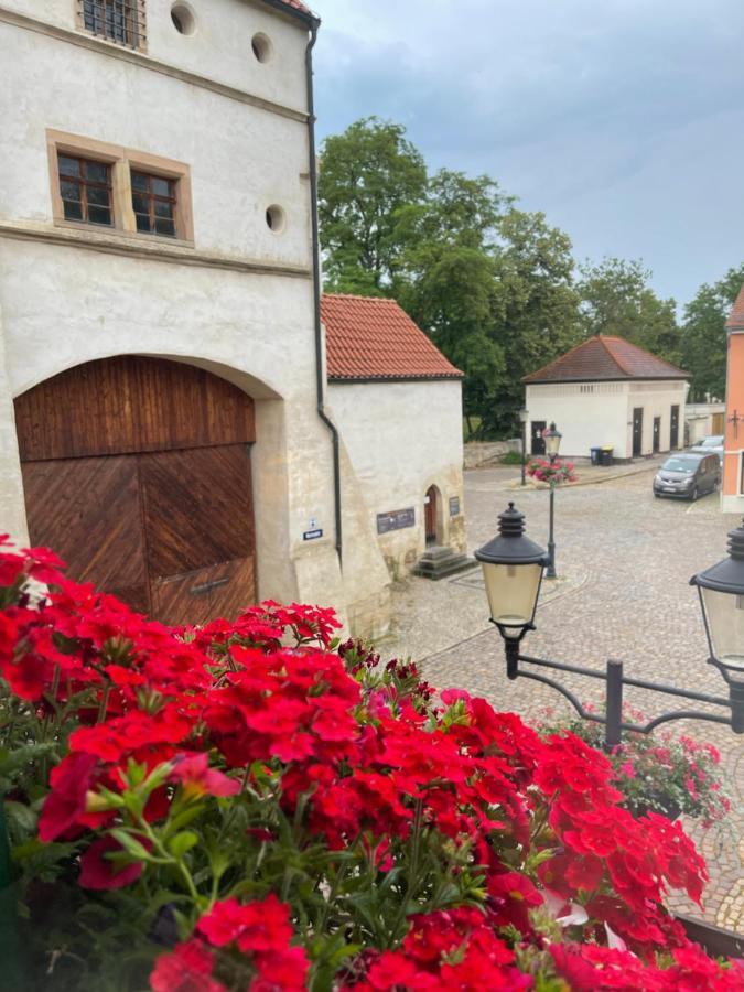 Pension Alt Naumburg Naumburg  Bagian luar foto